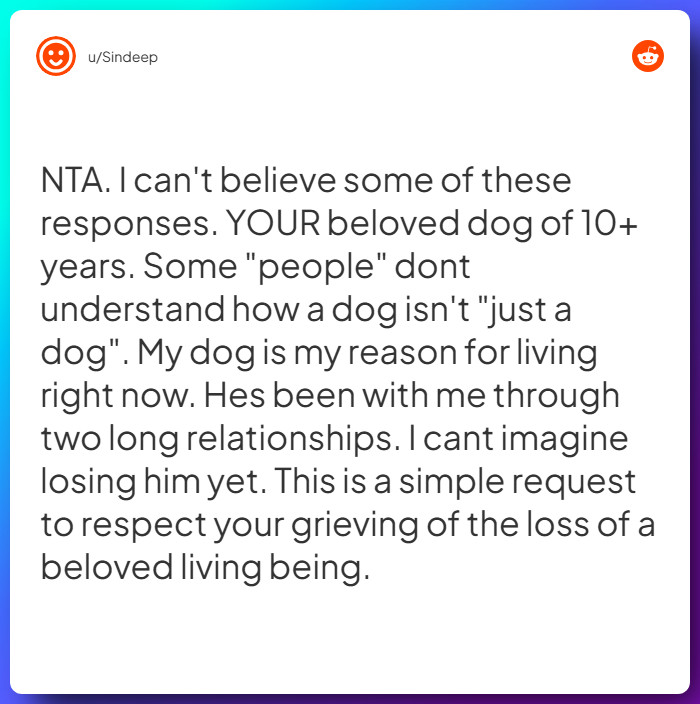 Comment from u/Sindeep