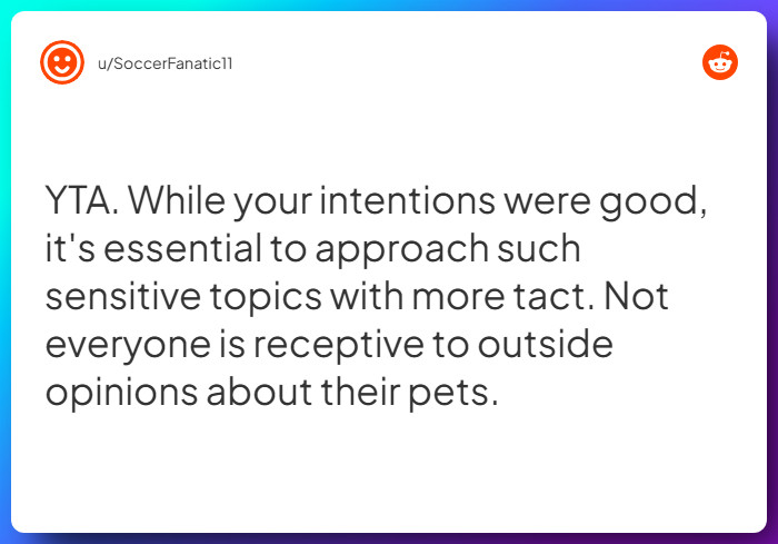 Comment from u/SoccerFanatic11