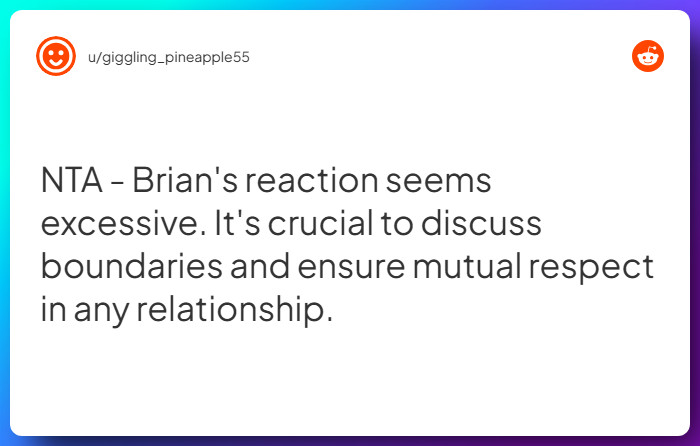 Comment from u/giggling_pineapple55