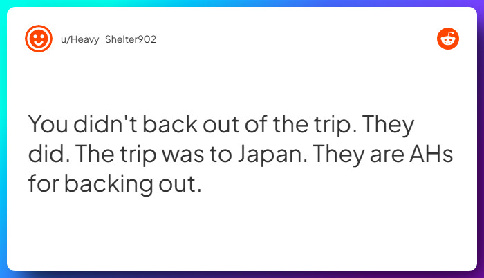 Comment from u/Heavy_Shelter902