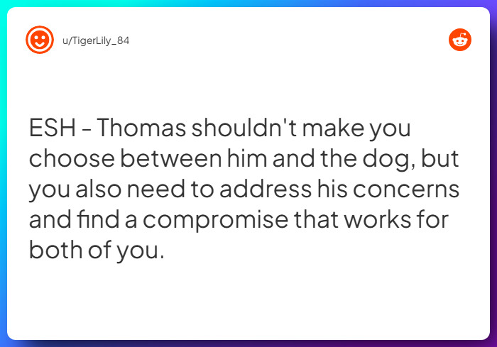 Comment from u/TigerLily_84