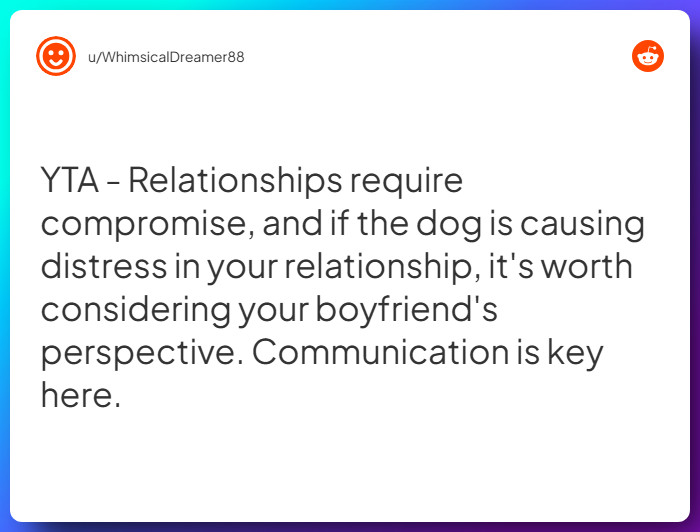 Comment from u/WhimsicalDreamer88