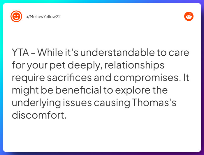 Comment from u/MellowYellow22