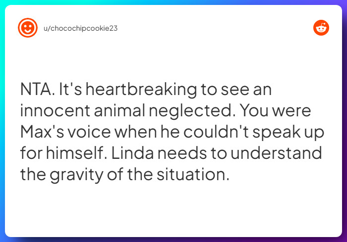 Comment from u/chocochipcookie23