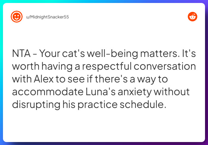 Comment from u/MidnightSnacker55