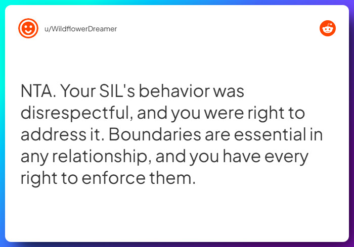 Comment from u/WildflowerDreamer