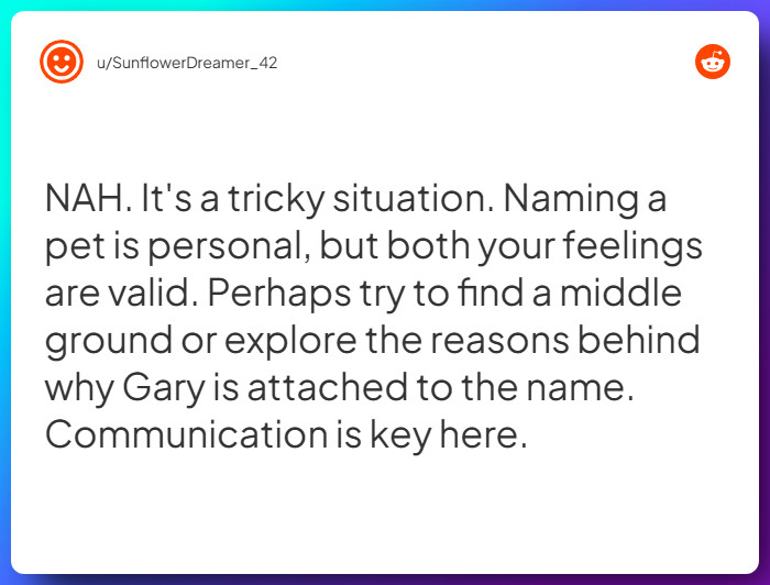 Comment from u/SunflowerDreamer_42