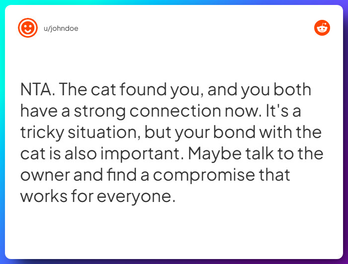 Comment from u/johndoe