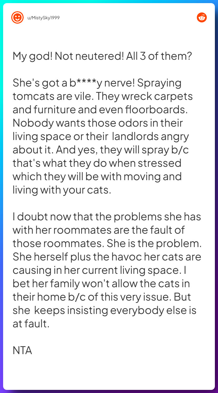 Comment from u/MistySky1999