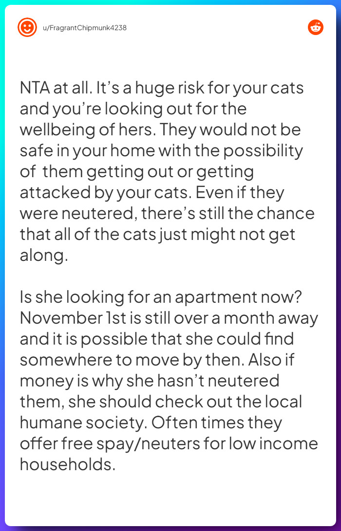 Comment from u/FragrantChipmunk4238