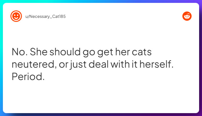 Comment from u/Necessary_Cat185