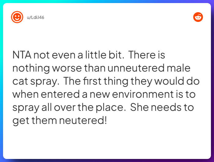 Comment from u/LdiJ46