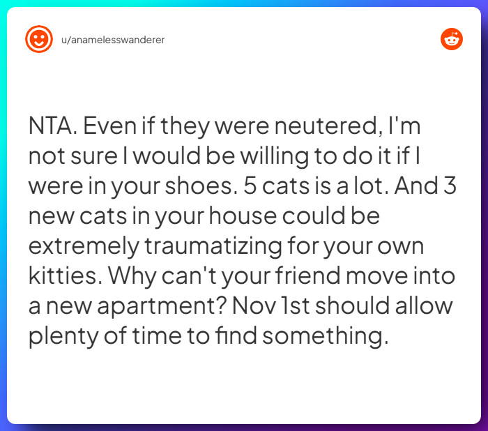 Comment from u/anamelesswanderer