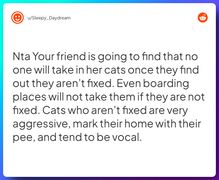 Comment from u/Sleepy_Daydream