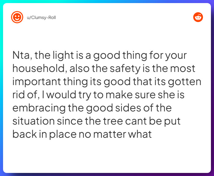 Comment from u/Clumsy-Roll