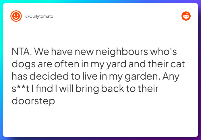 Comment from u/Curlytomato