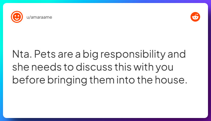 Comment from u/amaraame