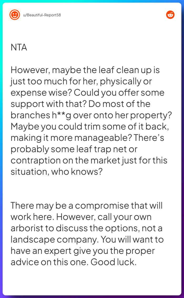 Comment from u/Beautiful-Report58