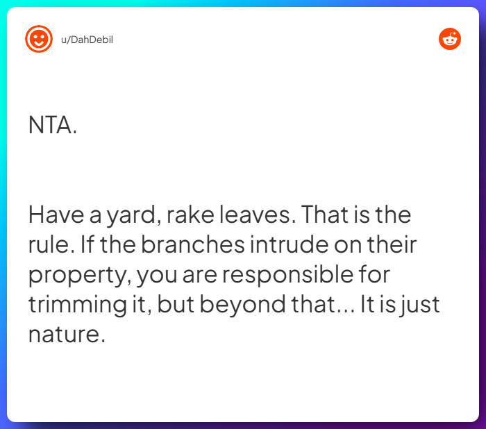 Comment from u/DahDebil