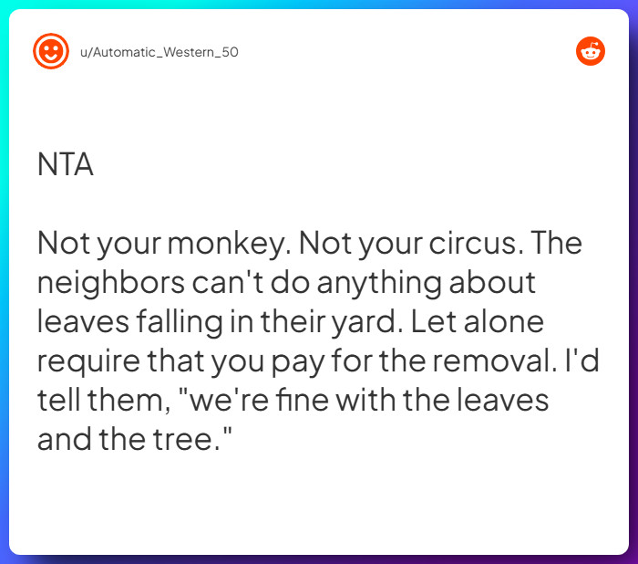 Comment from u/Automatic_Western_50