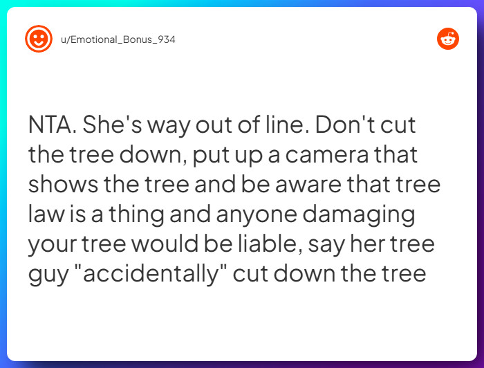 Comment from u/Emotional_Bonus_934