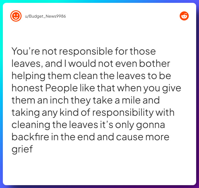 Comment from u/Budget_News9986