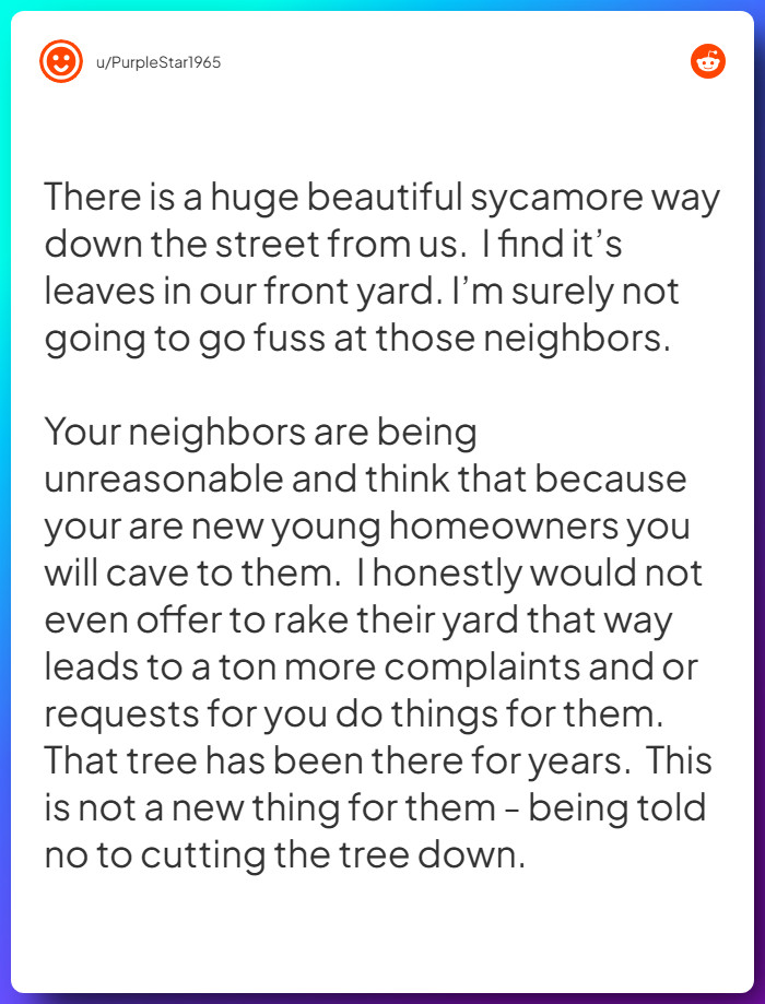 Comment from u/PurpleStar1965