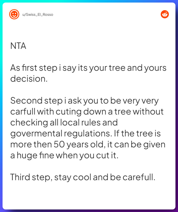 Comment from u/Swiss_El_Rosso