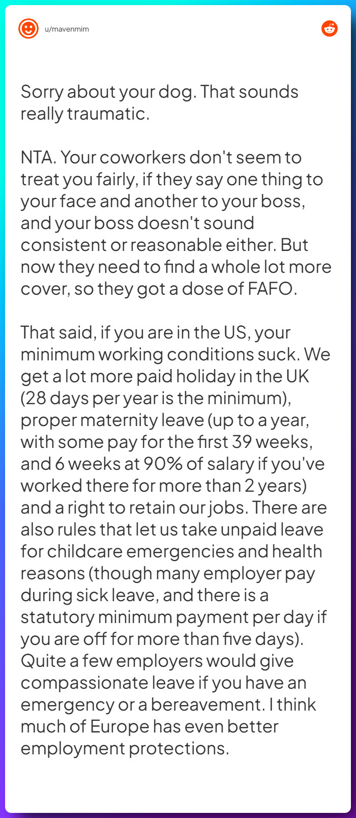 Comment from u/mavenmim