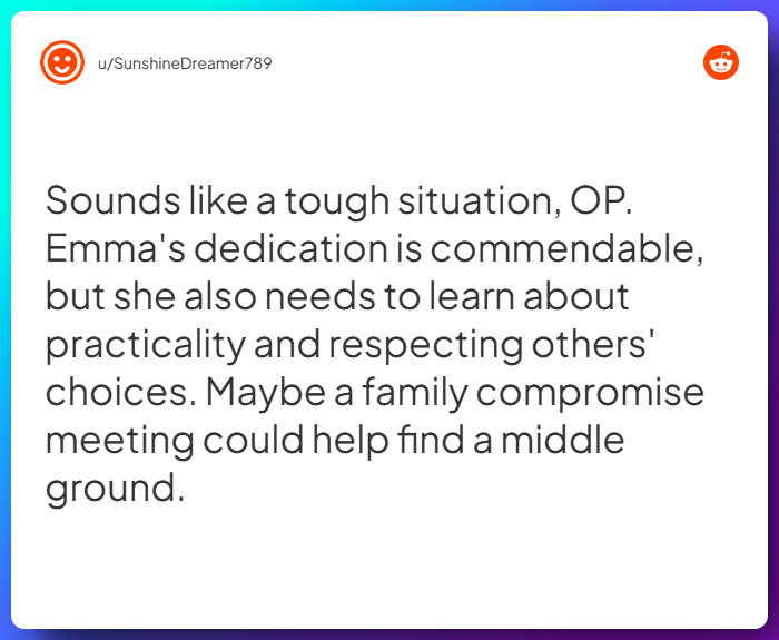 Comment from u/SunshineDreamer789