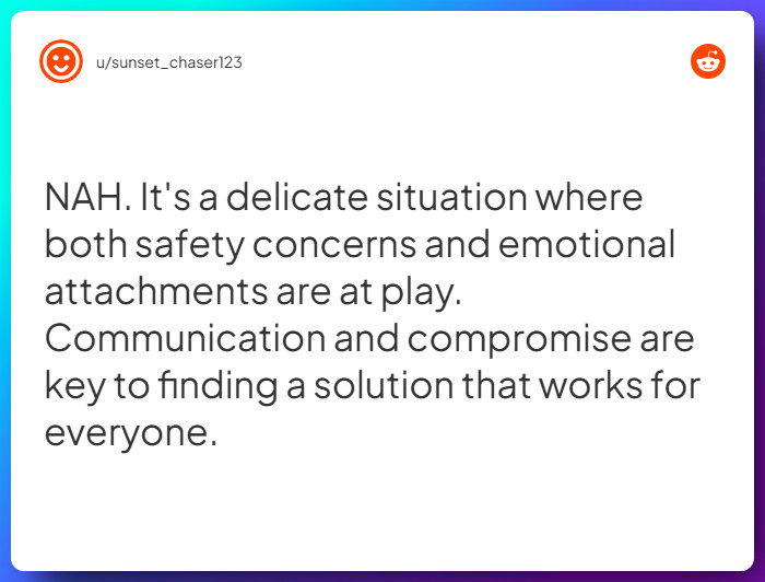 Comment from u/sunset_chaser123