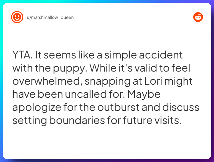 Comment from u/marshmallow_queen