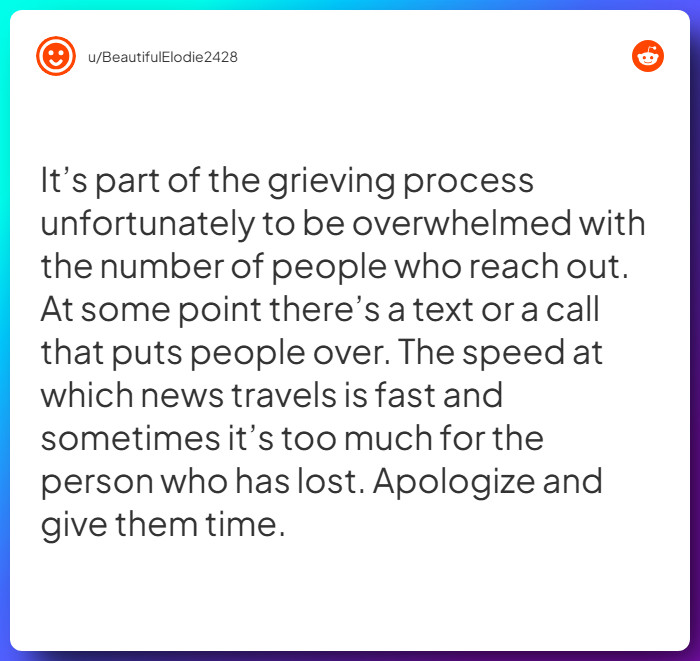 Comment from u/BeautifulElodie2428