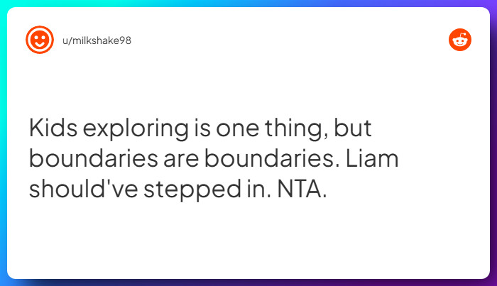 Comment from u/milkshake98