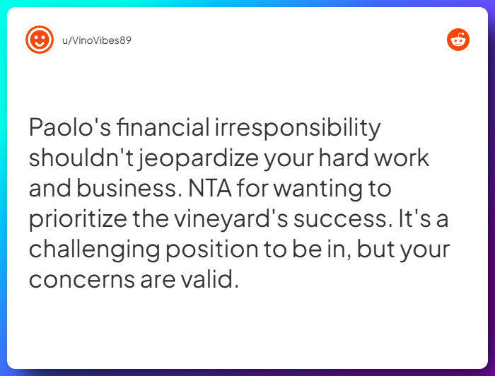 Comment from u/VinoVibes89