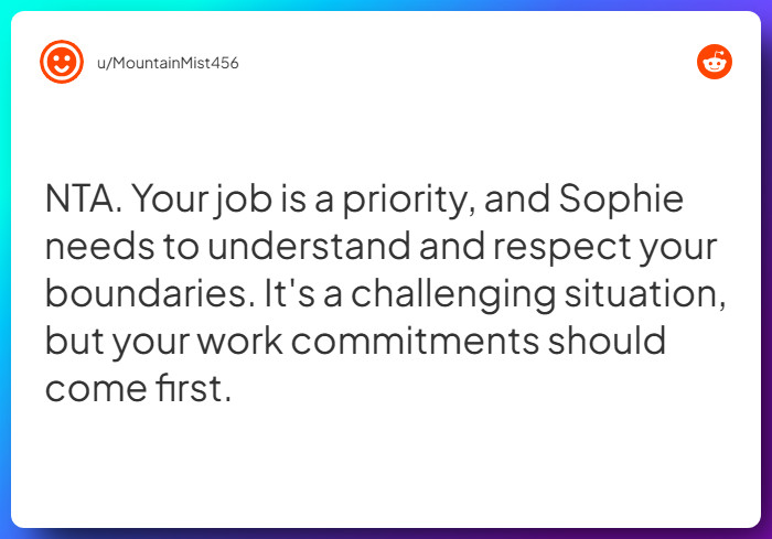 Comment from u/MountainMist456