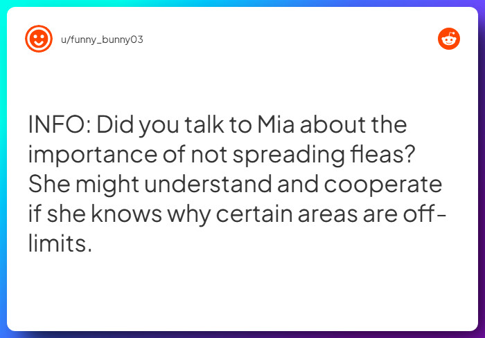 Comment from u/funny_bunny03