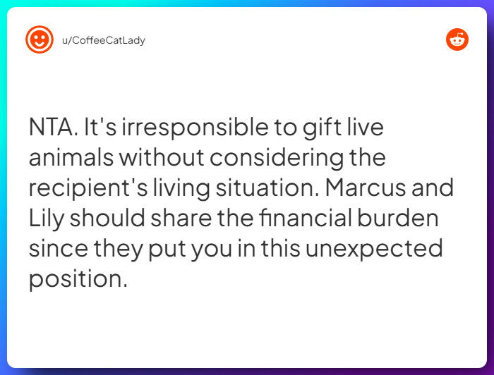 Comment from u/CoffeeCatLady