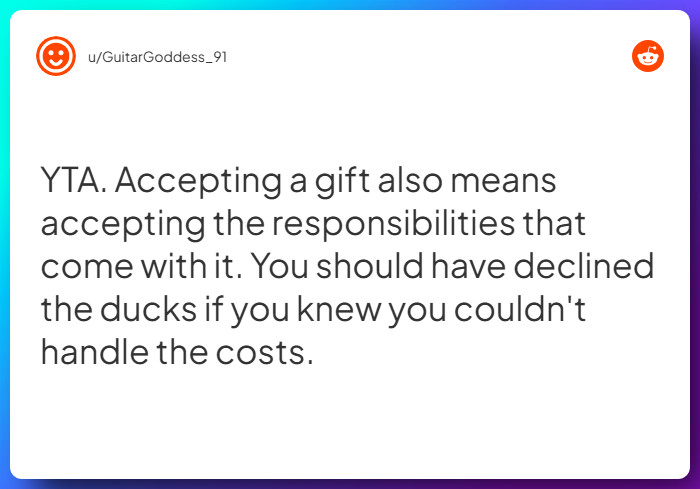 Comment from u/GuitarGoddess_91