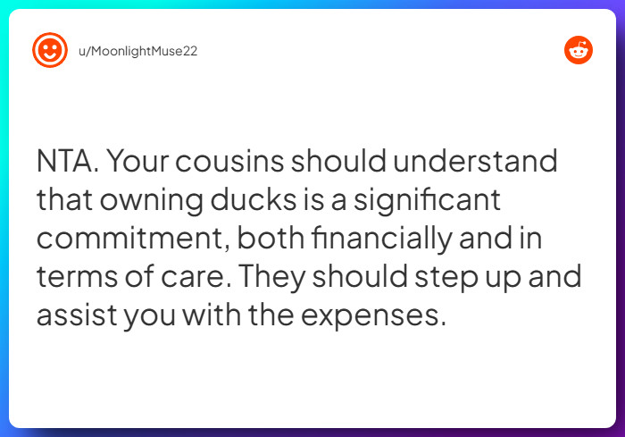 Comment from u/MoonlightMuse22