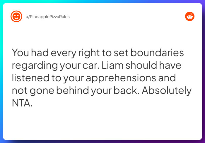 Comment from u/PineapplePizzaRules