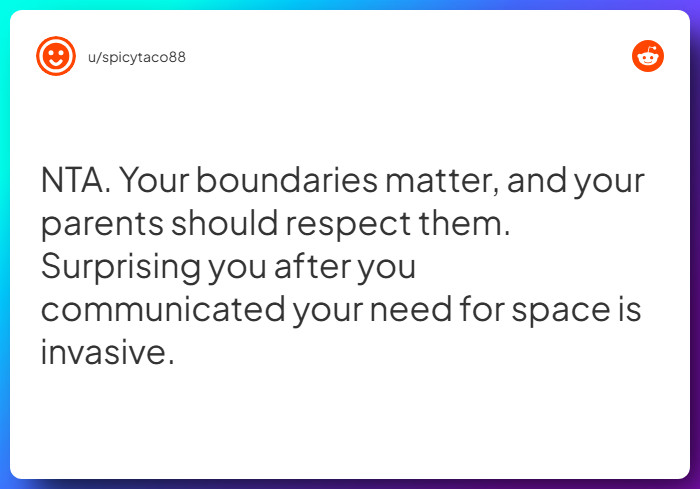 Comment from u/spicytaco88