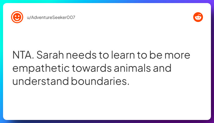 Comment from u/AdventureSeeker007