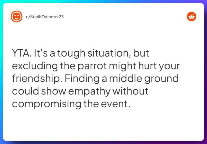 Comment from u/StarlitDreamer23