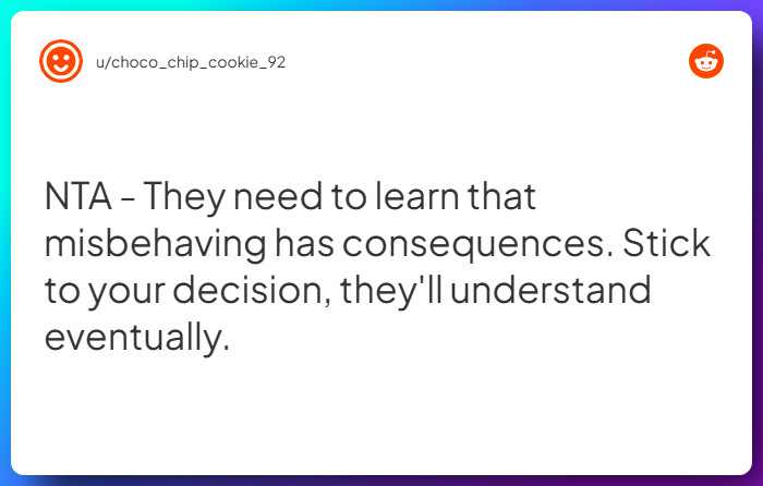 Comment from u/choco_chip_cookie_92