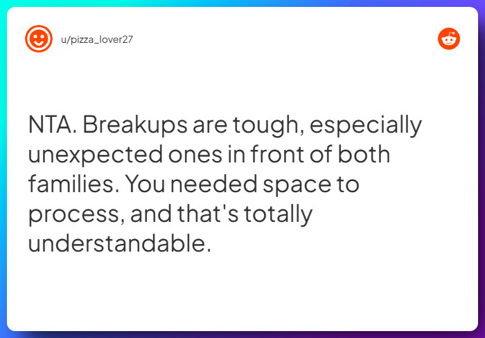 Comment from u/pizza_lover27