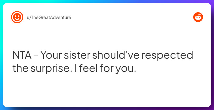 Comment from u/TheGreatAdventure