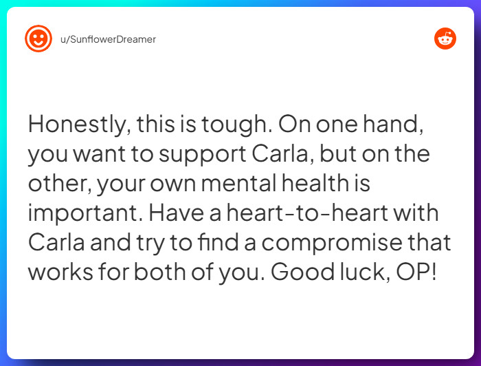 Comment from u/SunflowerDreamer