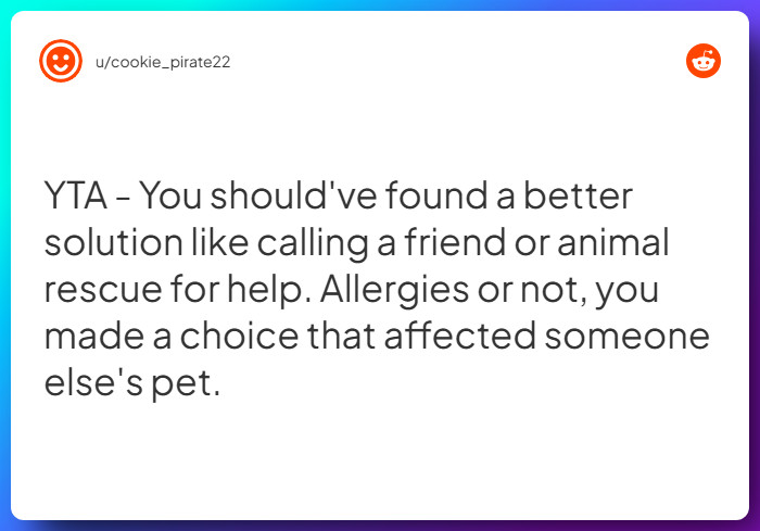 Comment from u/cookie_pirate22