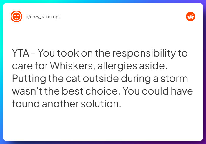 Comment from u/cozy_raindrops